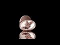 Rose Gold Phoenix Brooch Rendered in Stunning Detail | Riekert Render Co. | animation | Jewelry