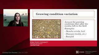 Grazing Corn Residue Nutritional Considerations