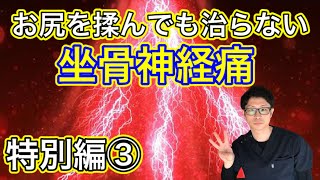 【坐骨神経痛】特別編③お尻を揉んでも治らない坐骨神経痛には尾骨ストレッチ！【埼玉県蕨市 腰痛専門整体院羽翼 TSUBASA 】