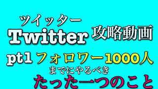 ツイッター攻略！①フォロワー1000人超えるまでにやるべきたった一つのこと