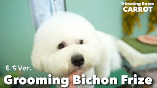 Pure white rice cake 🐶 [Bichon Frize] Trimming (Cinematicgrooming)