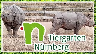 TIERGARTEN NÜRNBERG 🦏🐫🐬 Impressionen 20. Februar 2019