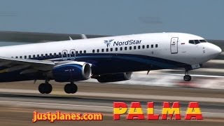 PALMA 737 Action! (20+ Airlines)