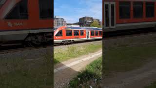 🚆 Triebwagen Typ Lint DB 648 im Doppel fährt als erx RB 83 von Kiel-Hbf in Richtung Lüneburg