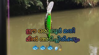 കിടിലൻ രണ്ടു അൾട്രാ ലൈറ്റ് ലൂറുകൾ... 🐟🐟