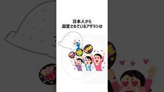 日本人から溺愛されているアザラシは、かつて北極圏の先住民族の間で伝統的に食べられていた。 #shorts