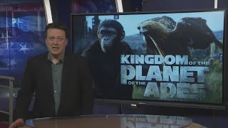 Director's Chair | Kingdom of the Planet of the Apes hits theaters
