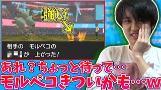 【剣盾】舐め腐っていたモルペコに意外にも苦しめられた試合【2020/10/10】【ポケモン】