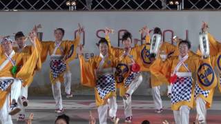 大橋通り踊り子隊　第63回よさこい祭り　後夜祭　中央公園　４K　2016 8 12