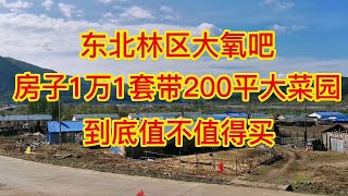 东北林区大氧吧，房子1万1套带200平大菜园，到底值不值得买？