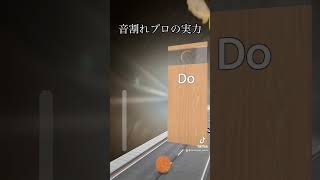 完璧でしょ #tiktok #エフェクト #perfect #Pitch #control #音割れ #歌い手