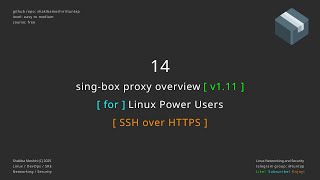 14 sing-box proxy overview - SSH over HTTPS