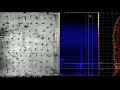 SoundCam Ultra 3 /Acoustic camera monitors a bee hotel (slow motion)