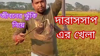 বিষাক্ত কোবরা সাপের ভয়ে। মাছ ধরা হলোনা।  সাপুড়ে এসে সাপ উদ্দ্বার করে। #kingcobra