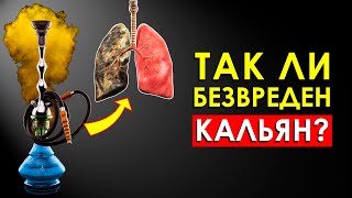 Что Произойдет с Вашим Телом, Если Курить Кальян Каждый День (Шокирует)