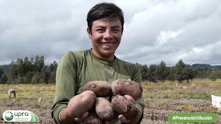 👩🏿‍🌾 Informativo #ElCampoNoPara🧑‍🌾: el campo emprende y tierras con legalidad para el sector rural