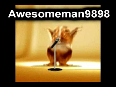 Hampton The Hampster - The Official Hamster Dance Song - YouTube