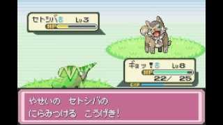 【改造ポケモン】デネブ実況プレイ　いざ新世界へ！part1