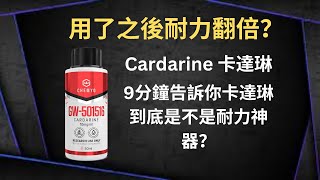 用了之後耐力翻倍？9分鐘告訴你卡達琳到底是不是耐力神器？