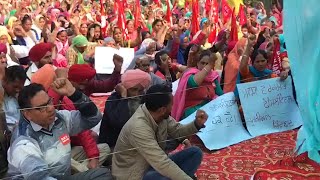 Government employee unions hold a protest in Patiala