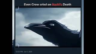 even crow also cry of dead of Itachi #emotional/Itachi#short/🥹🥺💖