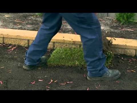 How To Lay Instant Turf - DIY At Bunnings How To Lay Instant Turf - DIY At Bunnings