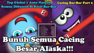 Wow, Cacing Kecil Ini Basmi Semua Cacing Besar Alaska! Cacing Kecil Bar-Bar Worms Zone | Part 2