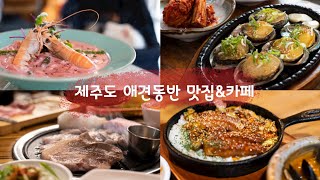 제주 애견동반 맛집\u0026카페 모아보기  제주 애견동반여행 어렵지않아요