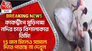 কাকদ্বীপে মুড়িগঙ্গা নদির চড়ে বিশালাকার তিমি! 15 জন মিলেও সামাল দিতে পারছে না দেখুন | Whale Kakdwip