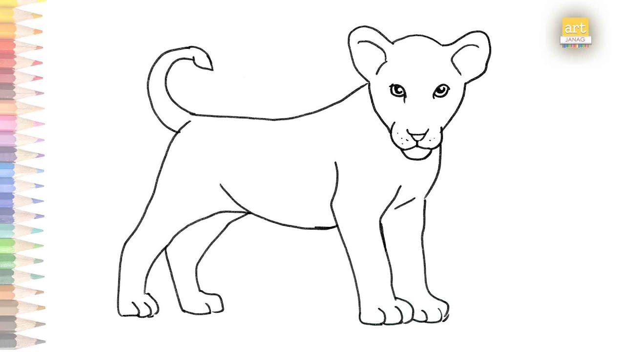 How To Draw A Baby Lion Step By Step