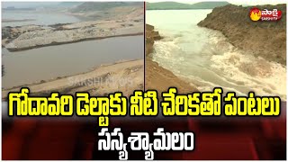 డెల్టాకు నీటి చేరికతో పంటలు సస్యశ్యామలం | Sakshi Ground Report On Polavaram Water To Krishna Delta