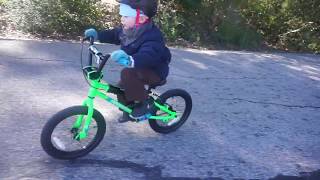 3 year old FIRST BIKE RIDE IN THE PARK - Haro Shredder 16\