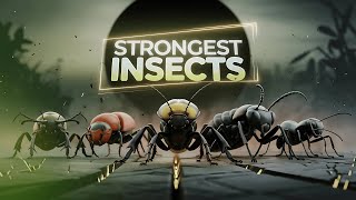 The Strongest Insects on Earth—You Won’t Believe #3!