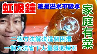 【家庭有菜】虹吸鐘原理與製作，二個問題排解與一個省錢秘招