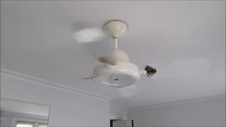 Sighting: Vortice Nordik Decor 90 cm Ceiling Fan