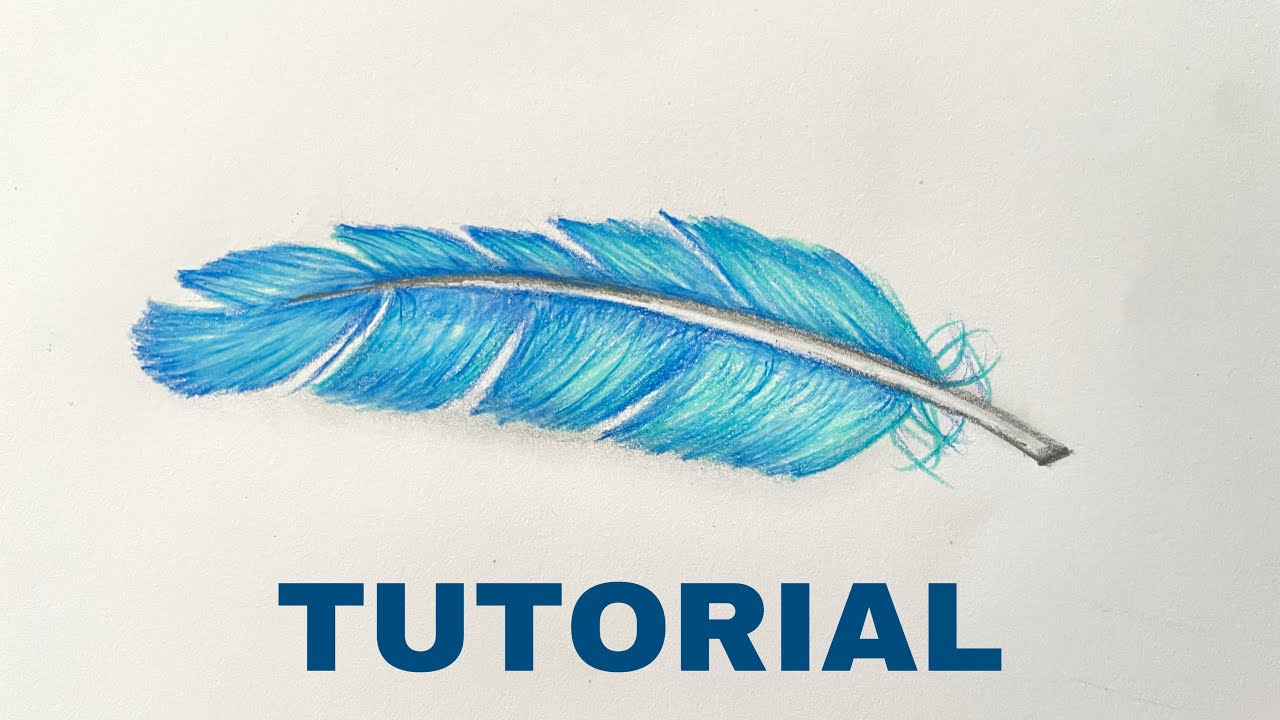 How To Draw A Feather Color Pencil Tutorial Youtube