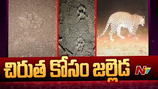 Leopard In Kadiyam Nursery : చిరుత కోసం జల్లెడ | Ntv