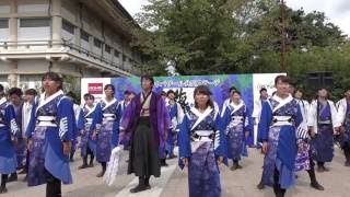 京炎そでふれ彩京前線　彩維　第14回京学生祭典2016　10.9(日)4K　藤ステージ