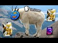 WE OPENED THE GOAT CASE!? (Packdraw Highrolling)