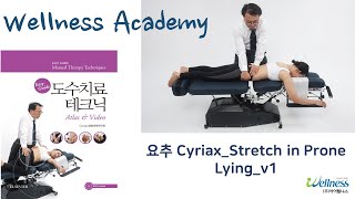 웰니스아카데미 도수치료(요추) Cyriax Stretch in Prone Lying v1