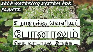 வெளியூர் அடிக்கடி செல்லுவீர்களா ? செடிக்கு எப்படி தண்ணி ஊற்றுவது என்று கவலை வேண்டாம்| Self watering|