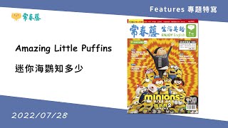 《迷你海鸚知多少》 2022.07.28常春藤生活雜誌