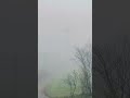 it’s a foggy morning foggymorning fog naturelovers youtubeshorts switzerland swisstrains