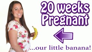 20 WEEKS ULTRASOUND || 20 WEEKS PREGNANT