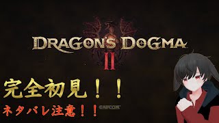 【ドラゴンズドグマ2】Steam版いよいよ開始！完全初見プレイ！（ネタバレ注意）＃2