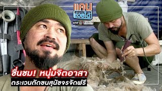 ชื่นชม! หนุ่มจิตอาสาตระเวนตัดขนสุนัขจรจัดฟรี | แคนช่วยได้ | ข่าวช่องวัน | one31