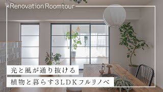 【ルームツアー】光と風が通り抜ける植物と暮らす3LDKフルリノベ/ リノベマンション / リノベーションマンション【スプリノべ】 / 名古屋市 / フルリノベ