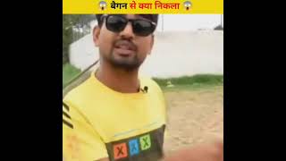 बैगन से क्या निकला 😱 | #ytshorts #shorts #trending #viral #facts