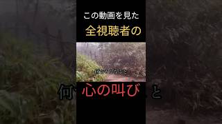 【金剛山にて】全視聴者の叫び