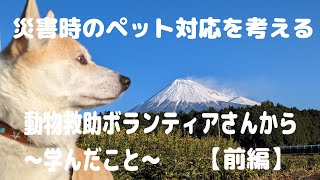 【災害時のペット対応を考え備えよう】〜東日本大震災から学ぶ〜【前編】